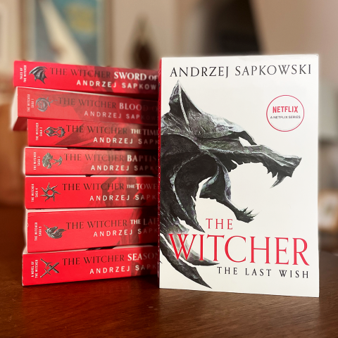 The Witcher Series