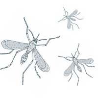 Keep Outdoor Bugs from Coming In