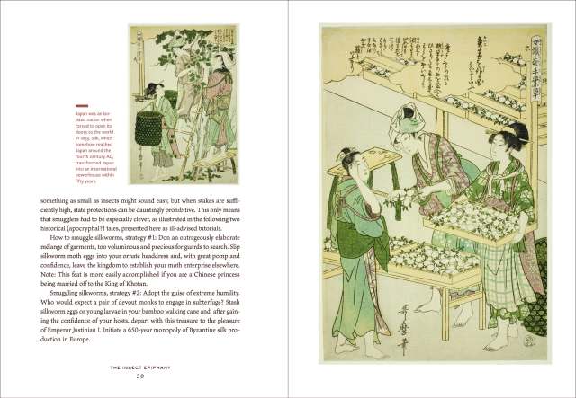 Interior spreads of the book Insect Epiphany, these pages are about the history of silk worms in Japan