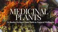 14 Medicinal Plants Books to Start Your Path to Natural Wellness